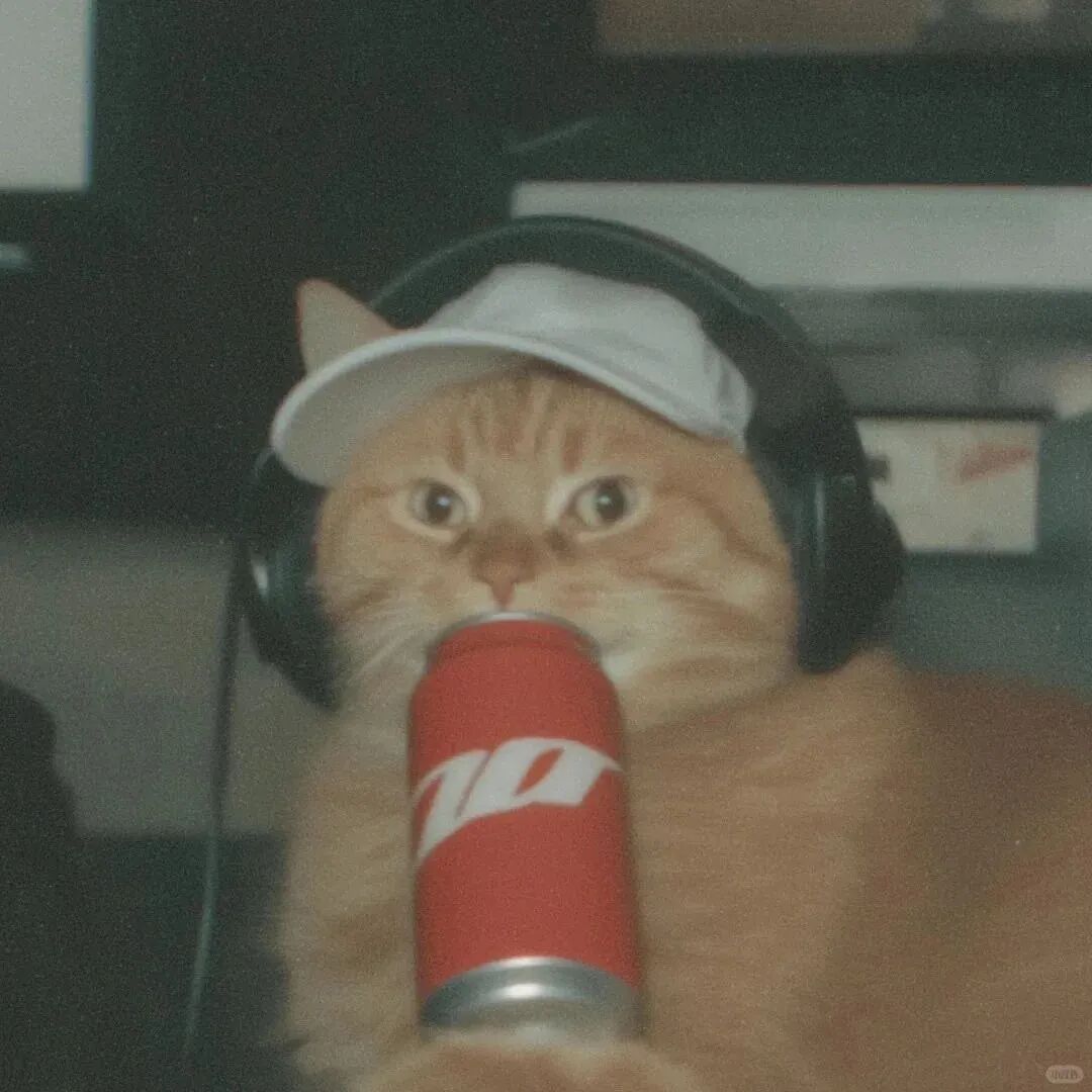 慵懒的猫咪可爱头像_佛系小猫图片大全-6