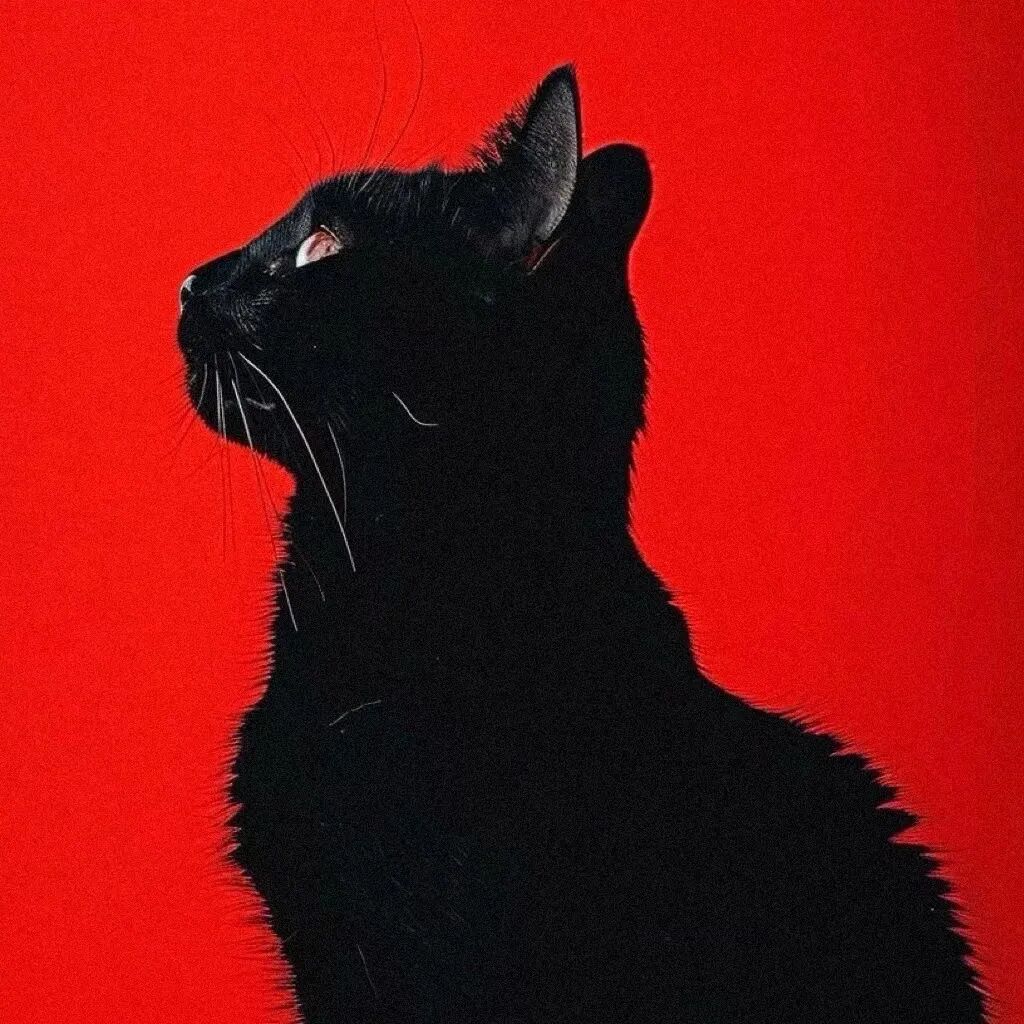 高级慵懒小猫头像图片_小众超萌的小猫头像图-8